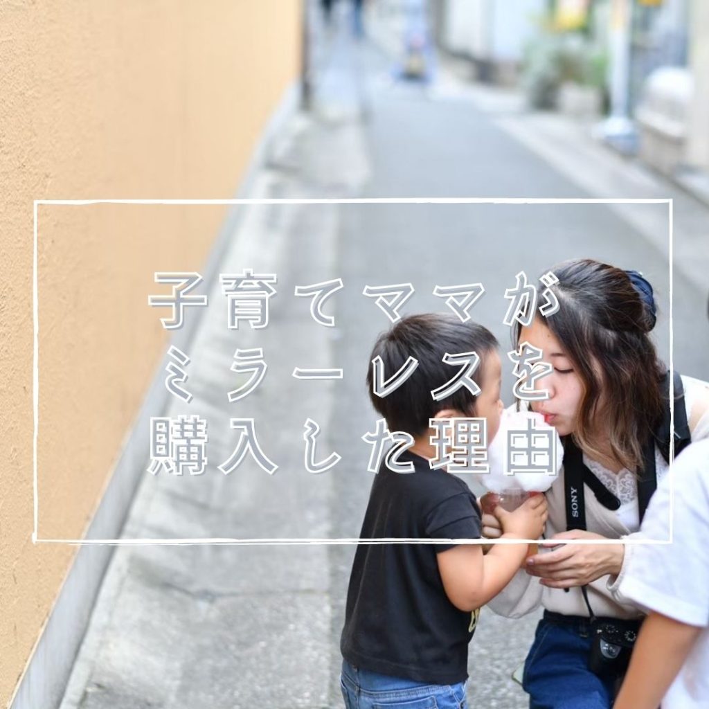 子育てママがミラーレスを思い切って購入した理由